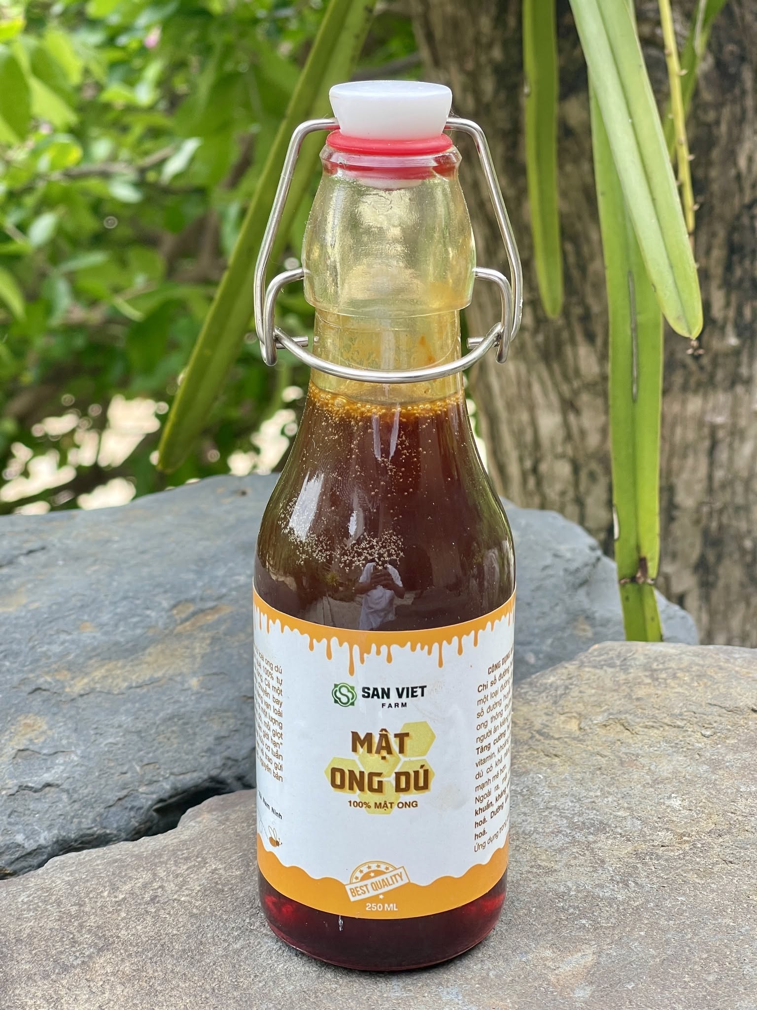 Mật ong khoái rừng